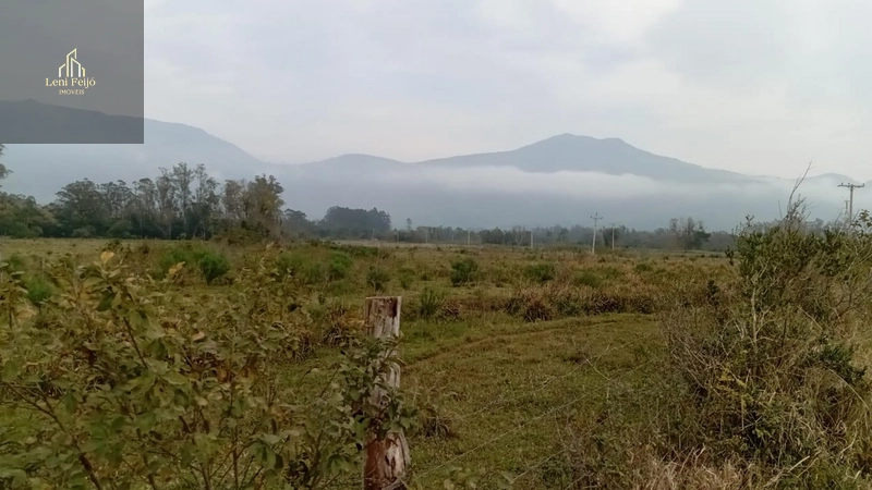 ÁREA PRODUTIVA DE 13 HECTARES: 4ª foto da galeria de imagens do imóvel