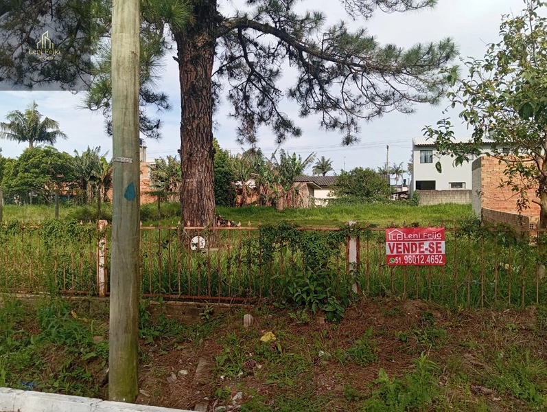 OPORTUNIDADE DE LOTE NO CENTRO: 6ª foto da galeria de imagens do imóvel