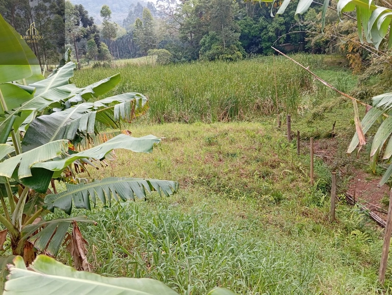 CASA EM ITATI: 5ª foto da galeria de imagens do imóvel