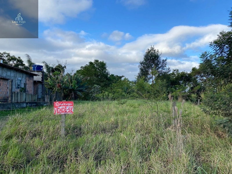 Terreno em Ótima Localização: 5ª foto da galeria de imagens do imóvel
