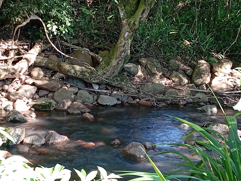 ÁREA NO ITATI/RS: 8ª foto da galeria de imagens do imóvel