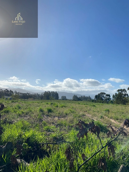 ÁREA: 4ª foto da galeria de imagens do imóvel