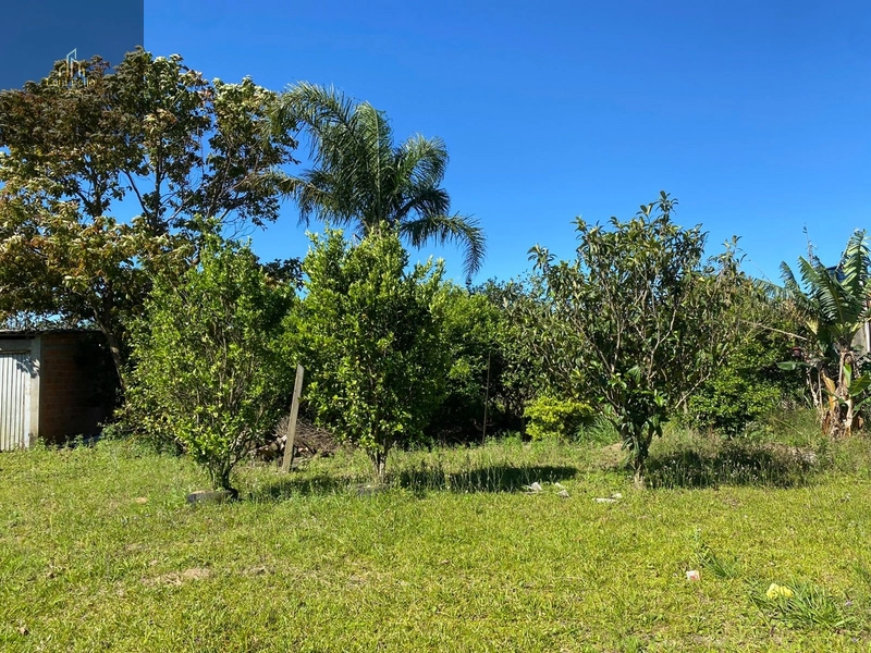 CHÁCARA RECANTO DAS TELHAS: 8ª foto da galeria de imagens do imóvel