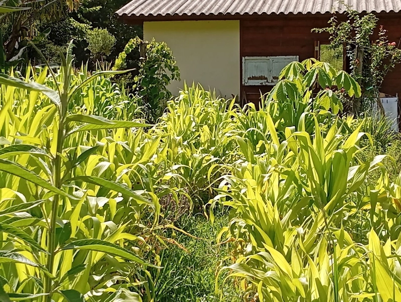 CASA EM ITATI: 5ª foto da galeria de imagens do imóvel