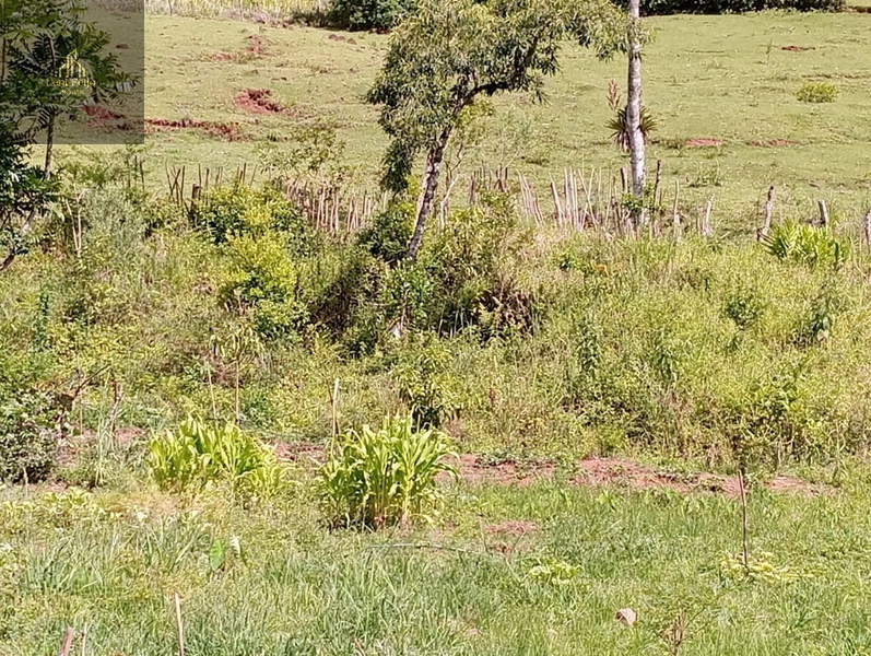 CASA EM ITATI: 8ª foto da galeria de imagens do imóvel