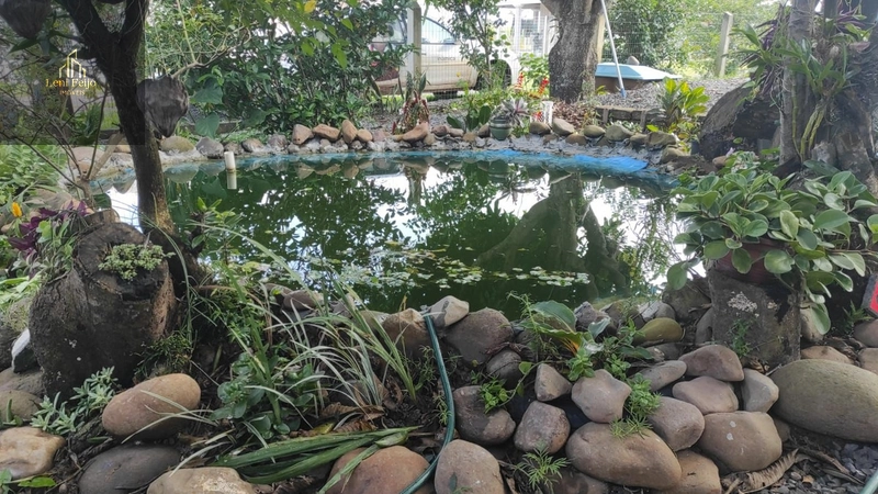 SÍTIO URBANO: 4ª foto da galeria de imagens do imóvel