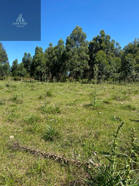 : 7ª foto da galeria de imagens do imóvel