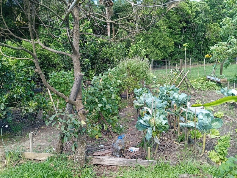 SÍTIO EM TRÊS FORQUILHAS: 6ª foto da galeria de imagens do imóvel