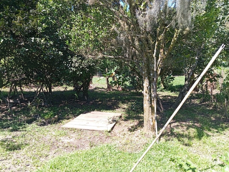 SÍTIO EM TRÊS FORQUILHAS: 6ª foto da galeria de imagens do imóvel