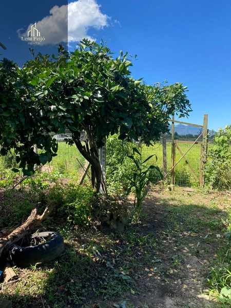 CASA: 4ª foto da galeria de imagens do imóvel