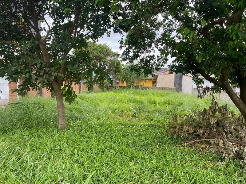 TERRENO A VENDA!!!!!!: 4ª foto da galeria de imagens do imóvel