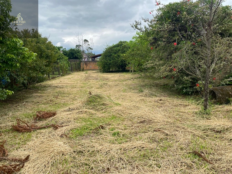 TERRENO A VENDA: 3ª foto da galeria de imagens do imóvel