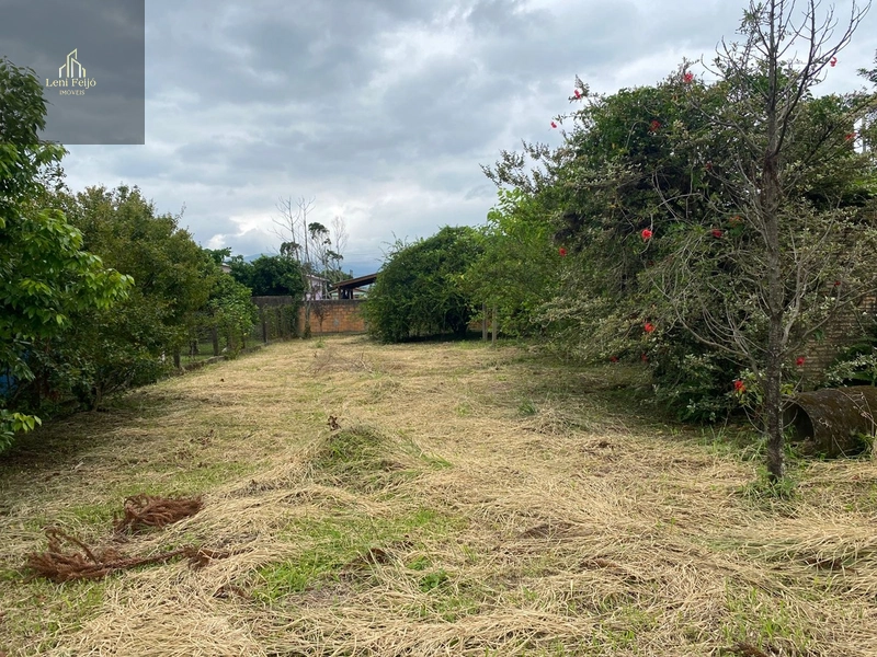 TERRENO A VENDA: 4ª foto da galeria de imagens do imóvel