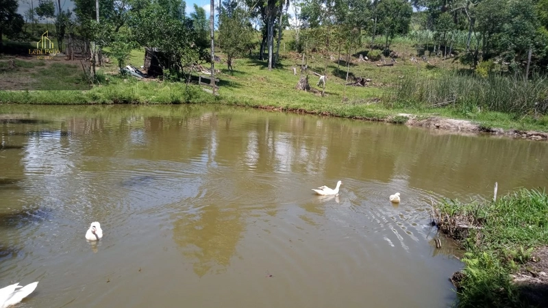 CHÁCARA ALMEIDA: 20ª foto da galeria de imagens do imóvel