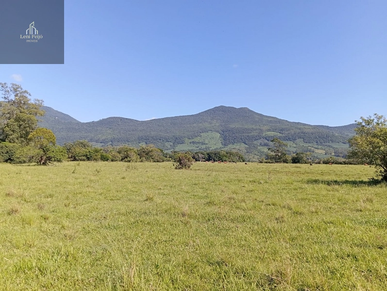 ÁREA DE 30 HECTARES: 5ª foto da galeria de imagens do imóvel