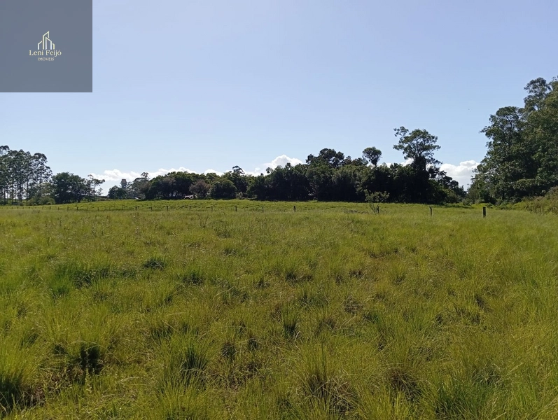 ÁREA DE 30 HECTARES: 9ª foto da galeria de imagens do imóvel