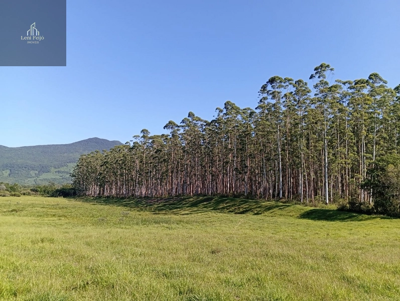 ÁREA DE 30 HECTARES: 12ª foto da galeria de imagens do imóvel