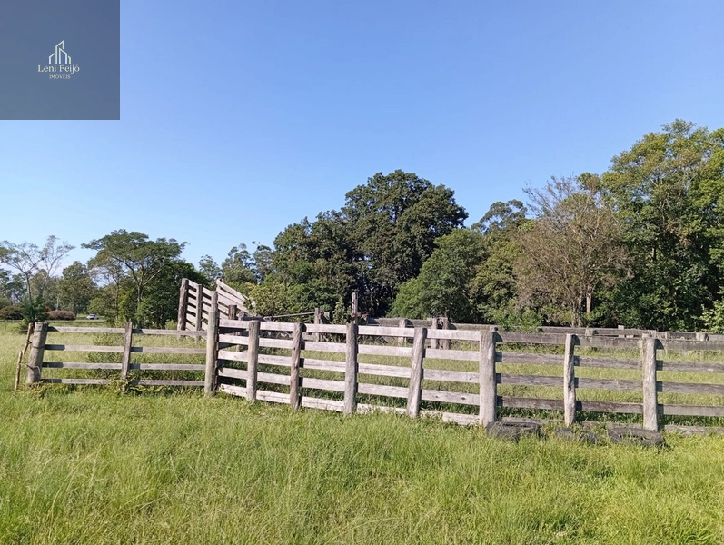 ÁREA DE 30 HECTARES: 14ª foto da galeria de imagens do imóvel