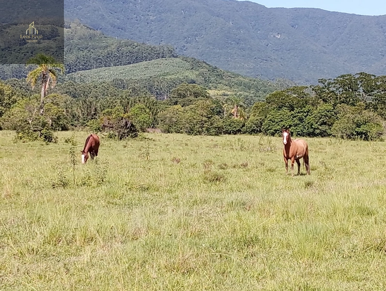 ÁREA DE 30 HECTARES: 7ª foto da galeria de imagens do imóvel