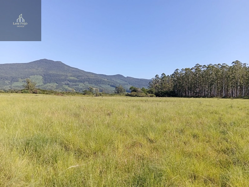 ÁREA DE 30 HECTARES: 11ª foto da galeria de imagens do imóvel