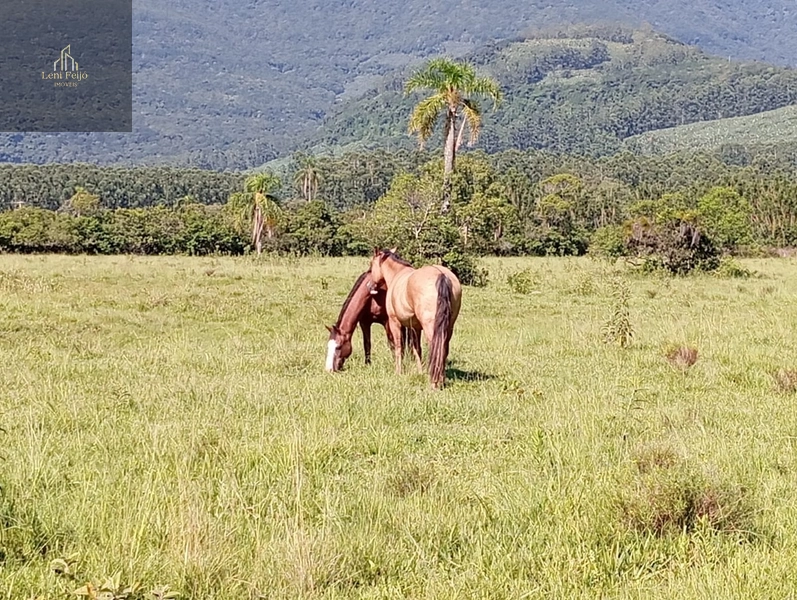 ÁREA DE 30 HECTARES: 1ª foto da galeria de imagens do imóvel