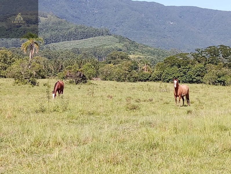 ÁREA DE 30 HECTARES: 6ª foto da galeria de imagens do imóvel