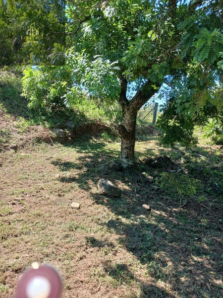 CHÁCARA RECANTO: 21ª foto da galeria de imagens do imóvel