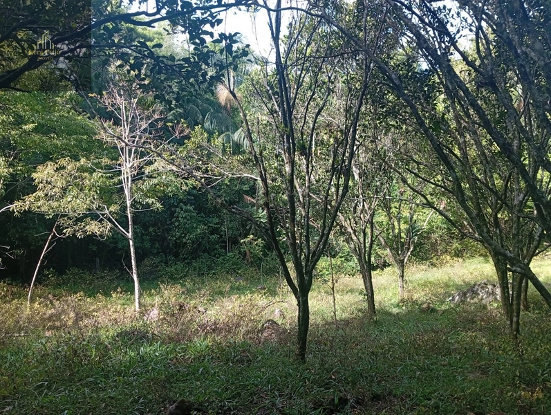 CHÁCARA RECANTO: 28ª foto da galeria de imagens do imóvel