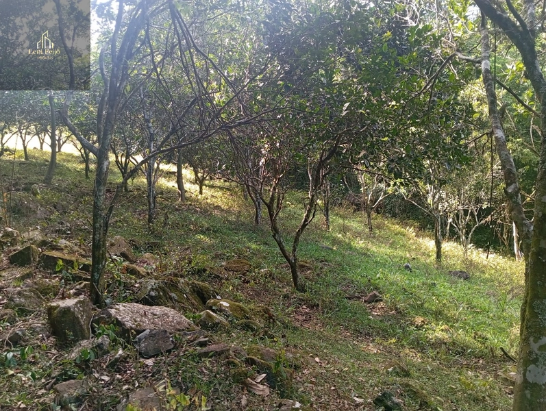 CHÁCARA RECANTO: 26ª foto da galeria de imagens do imóvel