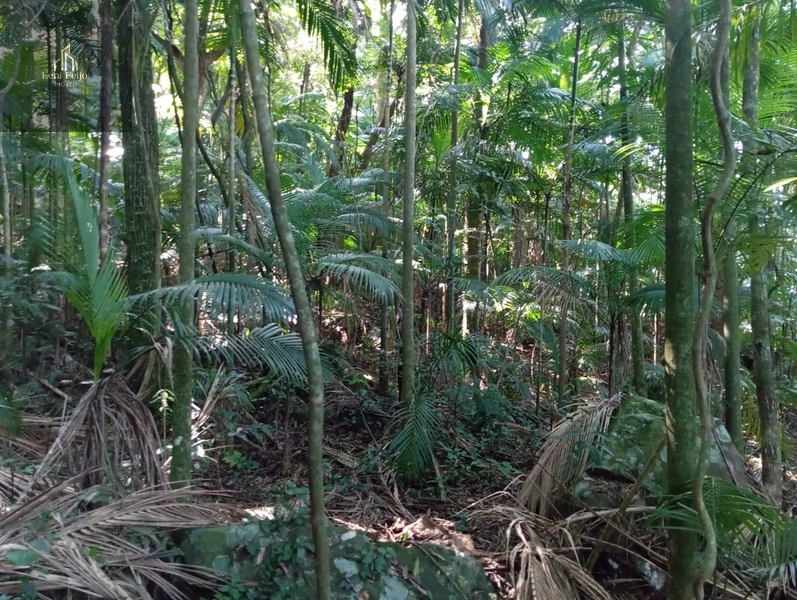 CHÁCARA RECANTO: 23ª foto da galeria de imagens do imóvel