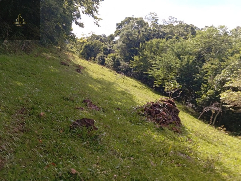 CHÁCARA RECANTO: 31ª foto da galeria de imagens do imóvel