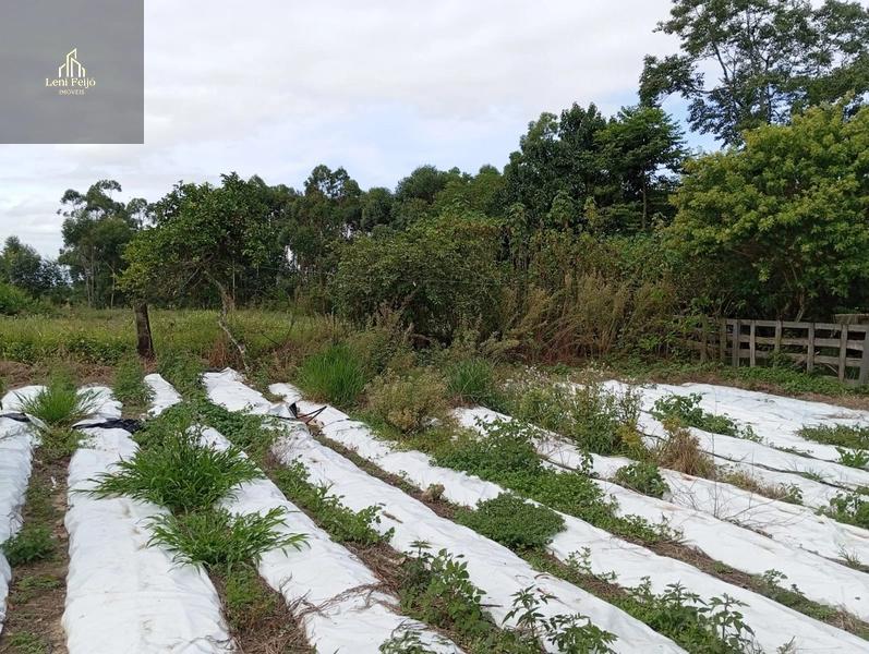 CASA: 10ª foto da galeria de imagens do imóvel