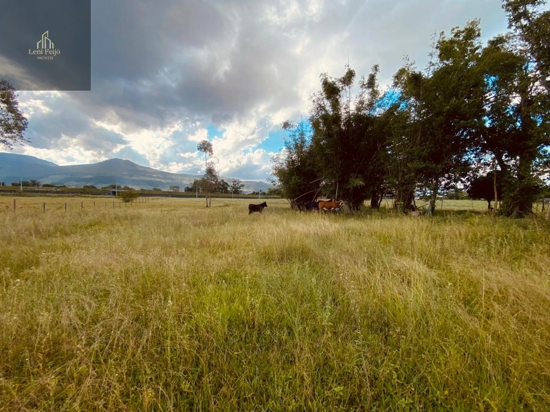 CHÁCARA DOS PEREIRAS: 32ª foto da galeria de imagens do imóvel