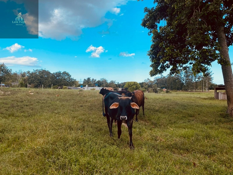 CHÁCARA DOS PEREIRAS: 37ª foto da galeria de imagens do imóvel
