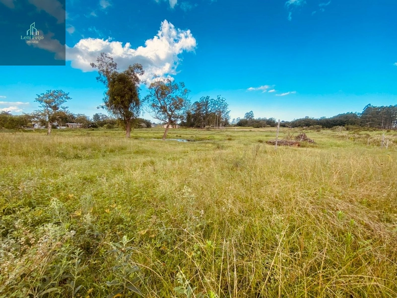 CHÁCARA DOS PEREIRAS: 30ª foto da galeria de imagens do imóvel