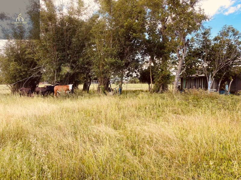 CHÁCARA DOS PEREIRAS: 29ª foto da galeria de imagens do imóvel