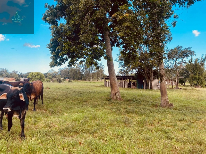 CHÁCARA DOS PEREIRAS
