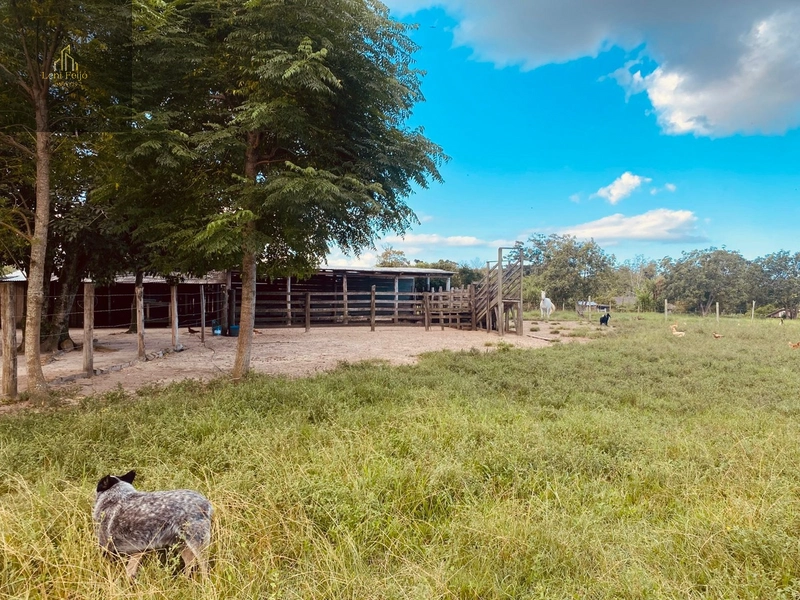 CHÁCARA DOS PEREIRAS: 38ª foto da galeria de imagens do imóvel