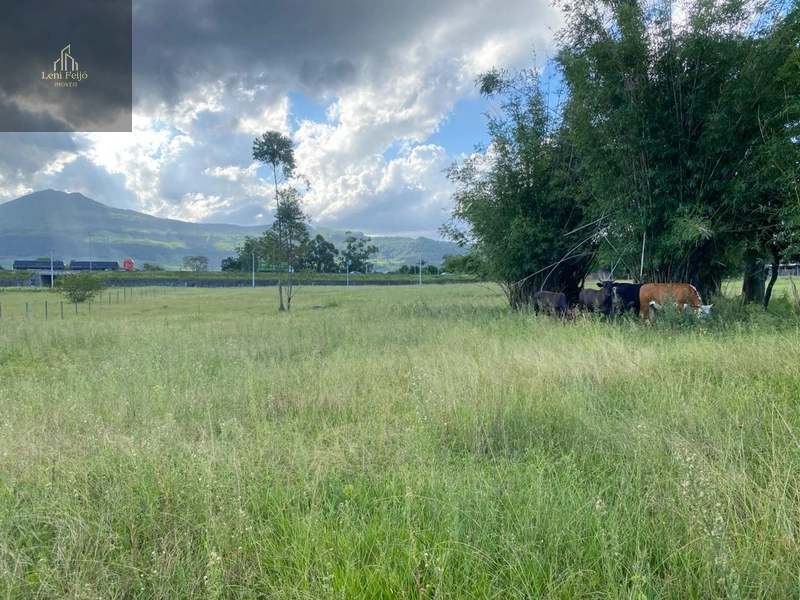 CHÁCARA DOS PEREIRAS: 28ª foto da galeria de imagens do imóvel