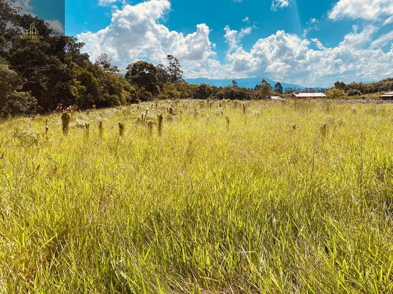 Terreno 25x60 próximo à Rota do Sol: 3ª foto da galeria de imagens do imóvel