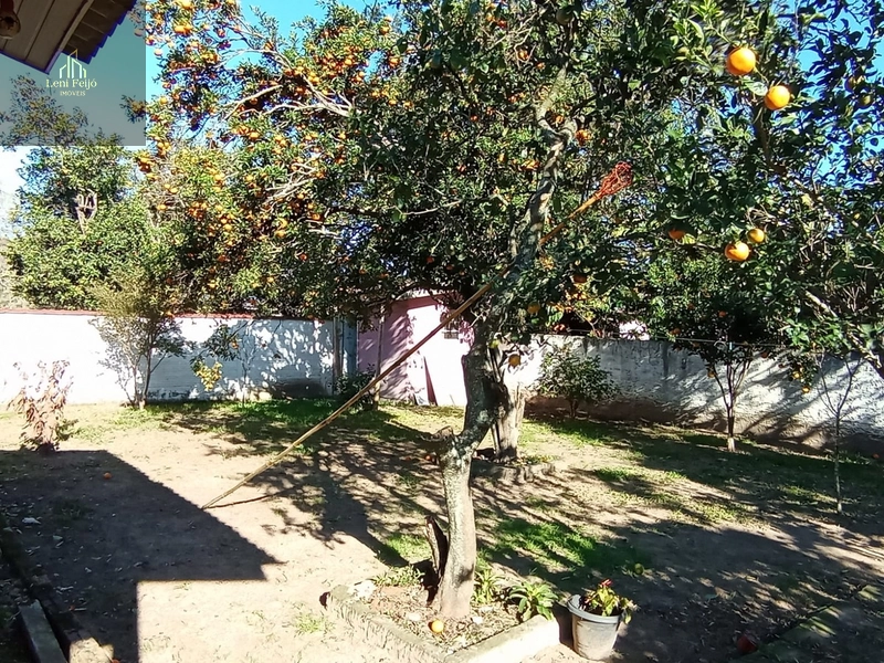 CASA DA FIGUEIRA: 16ª foto da galeria de imagens do imóvel