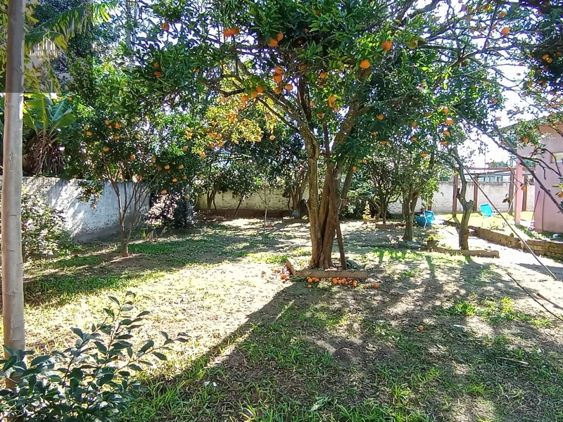 CASA DA FIGUEIRA: 12ª foto da galeria de imagens do imóvel