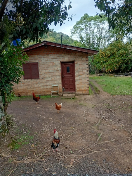 Chácara com 17.740m² e casa de alvenaria no Arroio Bonito