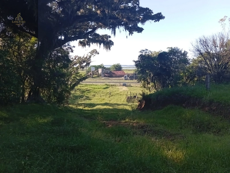 ÁREA DE 9,4 HECTARES: 6ª foto da galeria de imagens do imóvel