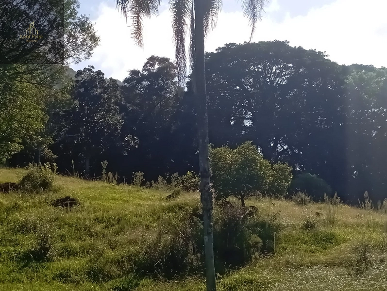 ÁREA DE 9,4 HECTARES: 24ª foto da galeria de imagens do imóvel