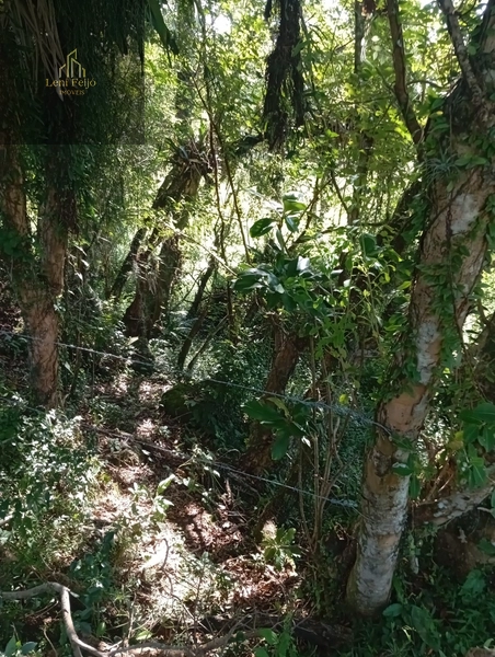 ÁREA DE 9,4 HECTARES: 16ª foto da galeria de imagens do imóvel