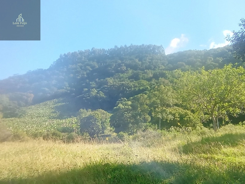 ÁREA DE 9,4 HECTARES: 14ª foto da galeria de imagens do imóvel