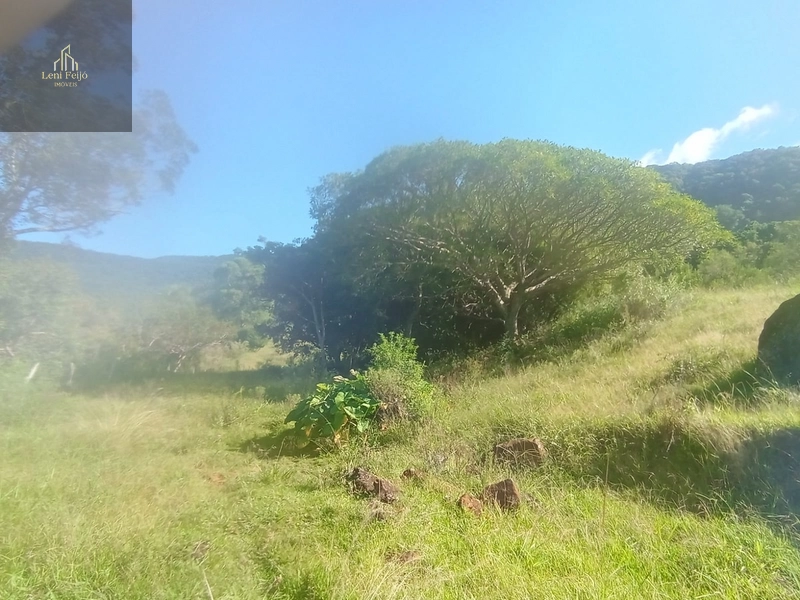 ÁREA DE 9,4 HECTARES: 18ª foto da galeria de imagens do imóvel