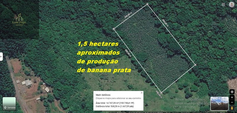 ÁREA DE 9,4 HECTARES: 10ª foto da galeria de imagens do imóvel