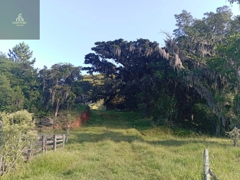 ÁREA DE 9,4 HECTARES: 7ª foto da galeria de imagens do imóvel